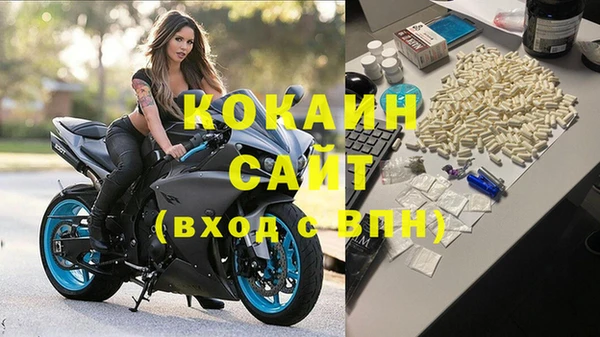 дживик Аркадак