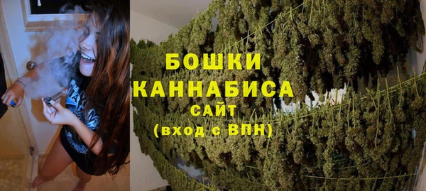 сатива Армянск