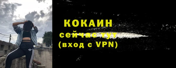 сатива Армянск
