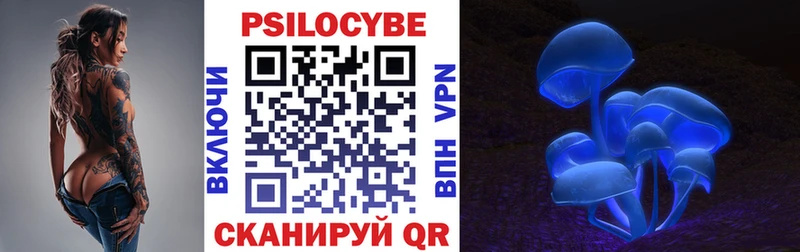 ссылка на мегу   Афипский  Псилоцибиновые грибы Psilocybine cubensis 